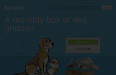 barkbox